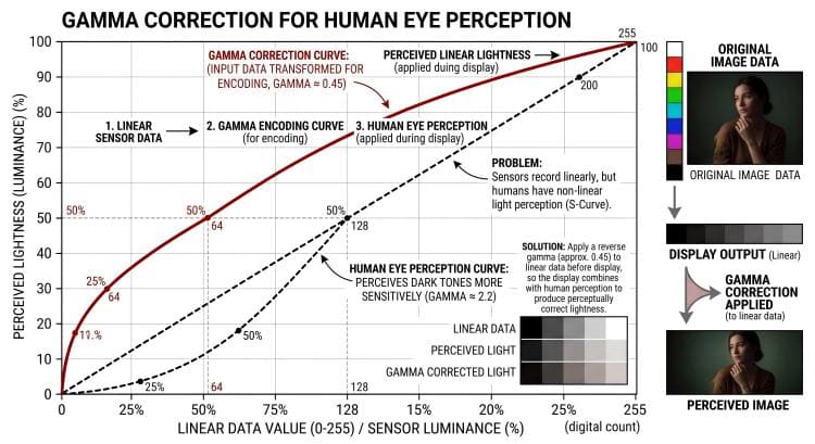 Graph showing a Gamma Correction curve